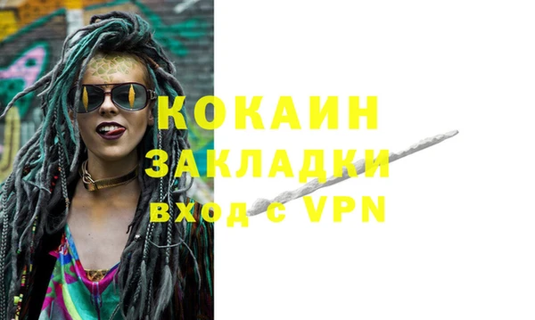 шишки Белокуриха
