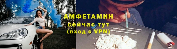 шишки Белокуриха