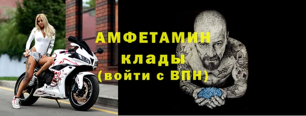 шишки Белокуриха