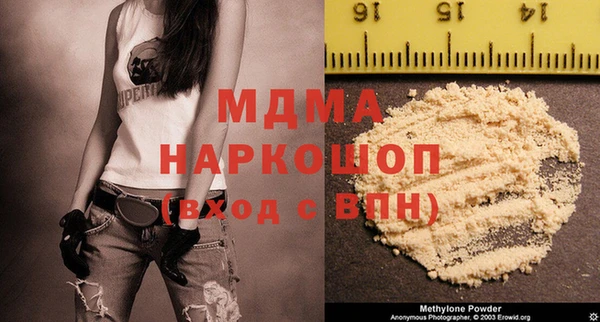 шишки Белокуриха