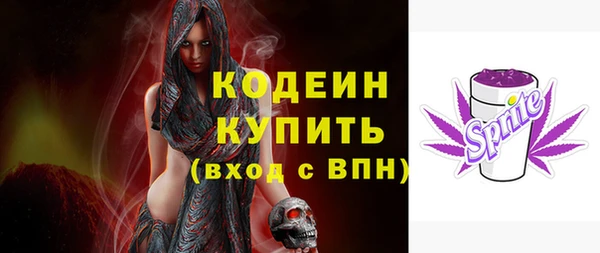 шишки Белокуриха