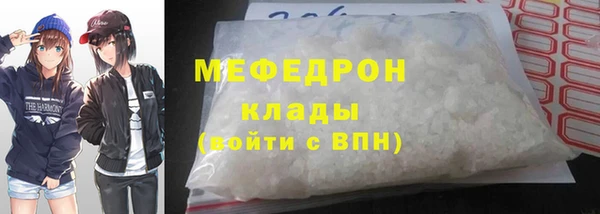 шишки Белокуриха