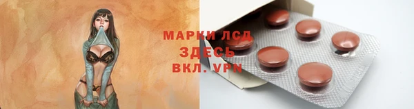 шишки Белокуриха