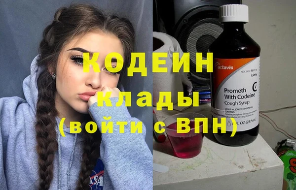 шишки Белокуриха