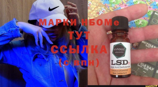 шишки Белокуриха