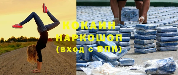 шишки Белокуриха