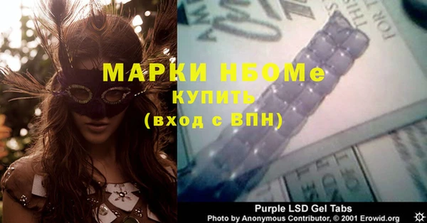 шишки Белокуриха
