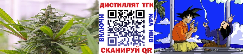 ТГК концентрат OMG вход Курлово